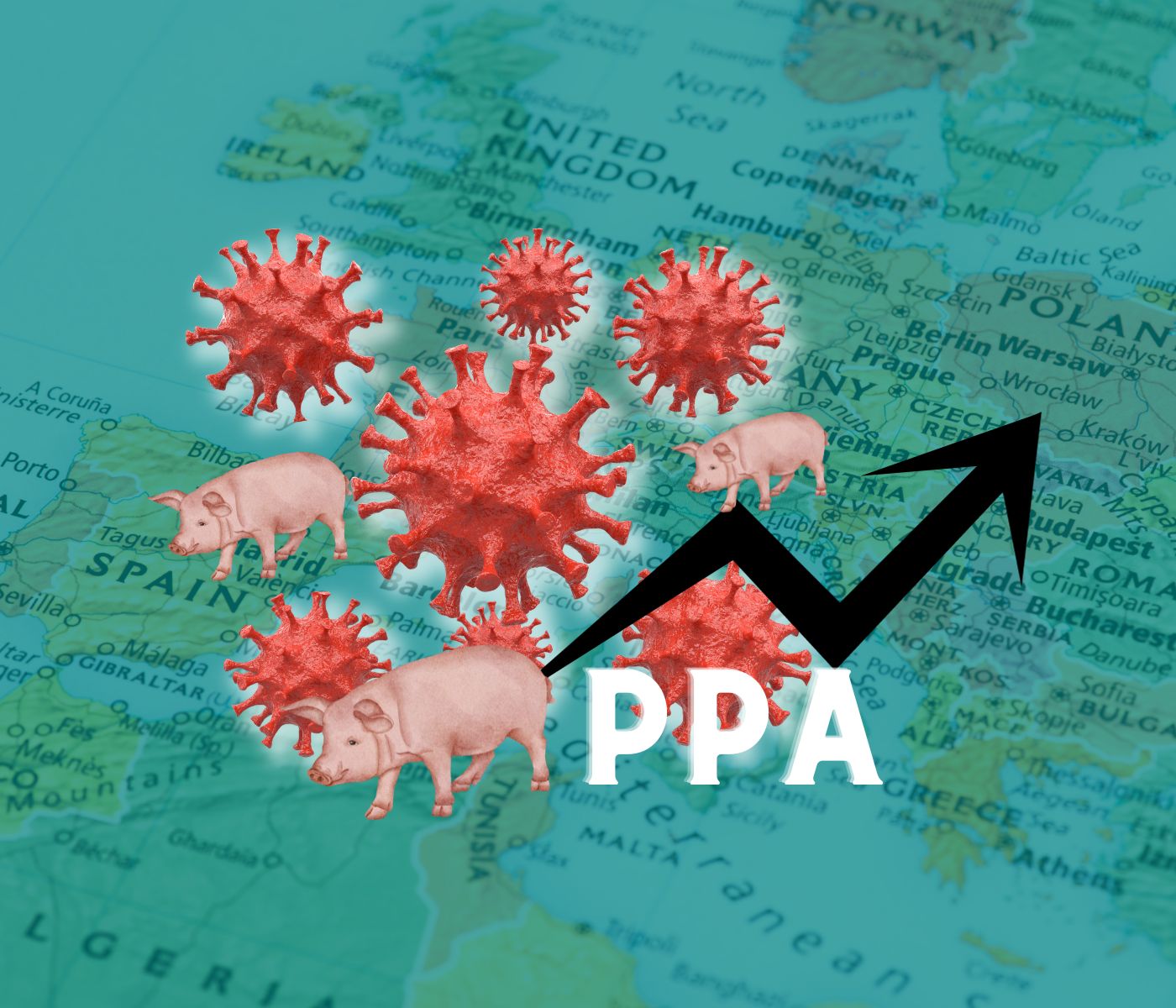 La propagación de la Peste Porcina Africana avanza en Europa