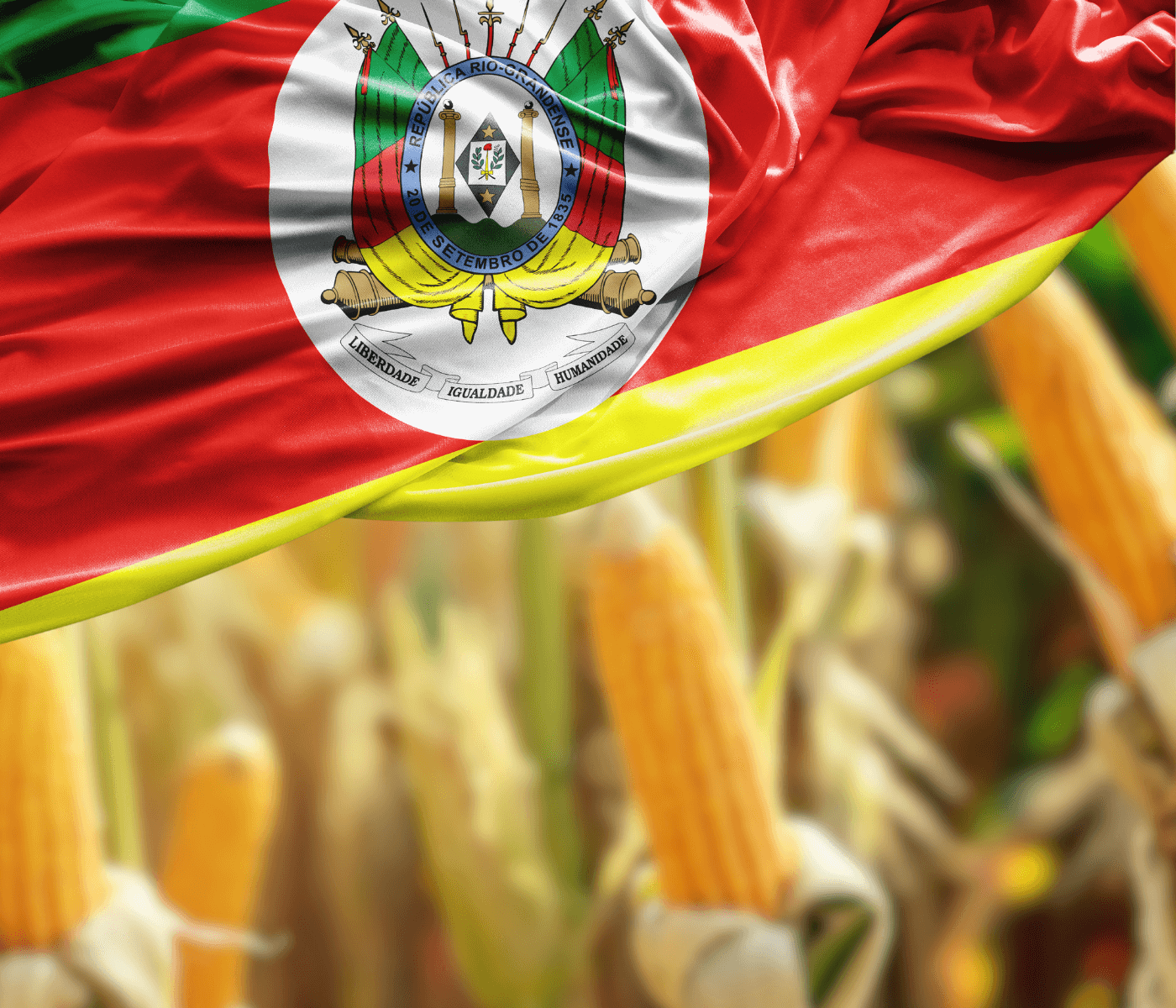 Indústrias suinícolas do RS buscam ampliar corredores de importação de milho