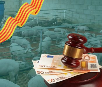 PORCAT celebra que la Ley 18/2001, haya incluido sanciones económicas en Cataluña por la entrada ilegal en las granjas o en los mataderos.