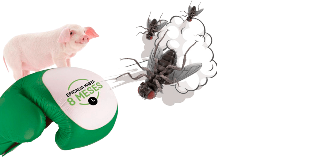 MASTERFLY® BAIT control eficaz de moscas