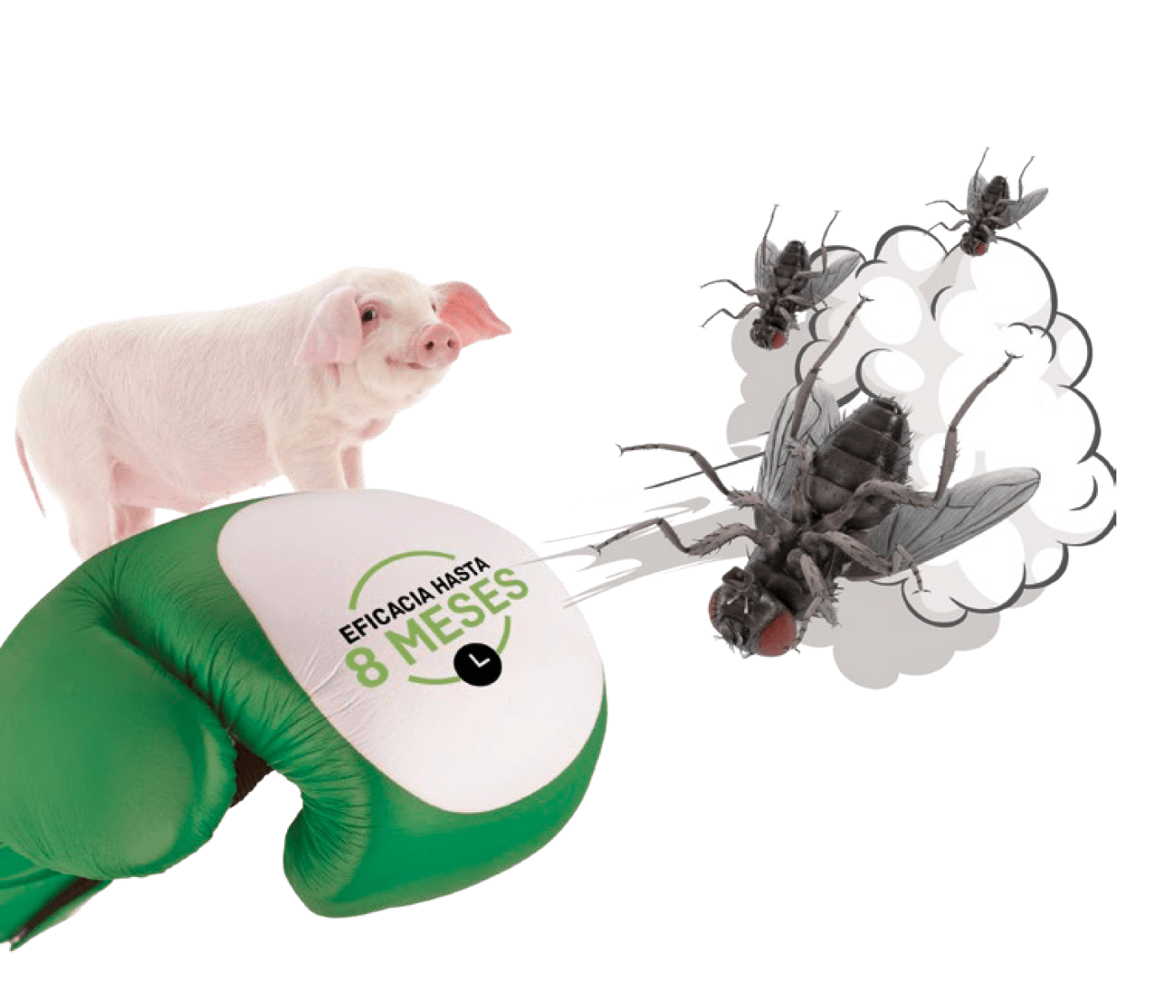 MASTERFLY® BAIT: control eficaz de moscas en granjas porcinas