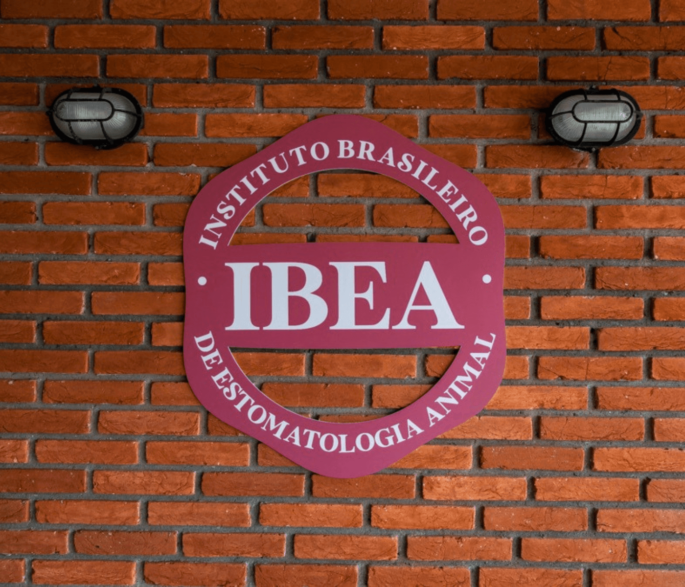 Instituto Brasileira de Estomatologia Animal (IBEA) – um novo olhar sobre a estomatologia animal