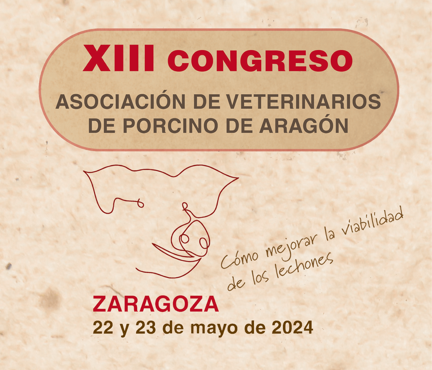 Queda menos de un mes para la celebración del XIII Congreso de la Asociación de Veterinarios de Porcino de Aragón (AVPA)
