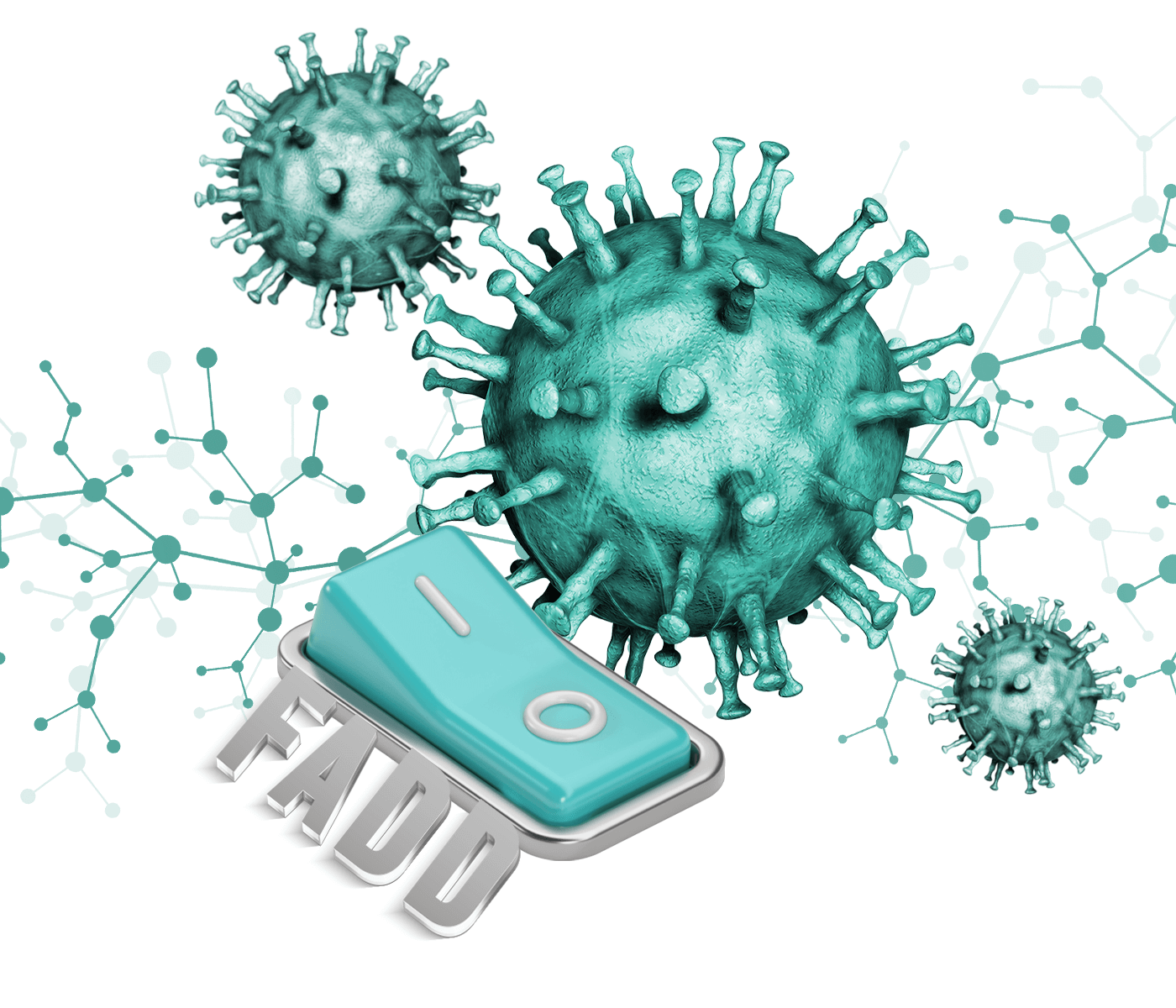 FADD juega un papel crucial en la supresión de la infección por PRRSV