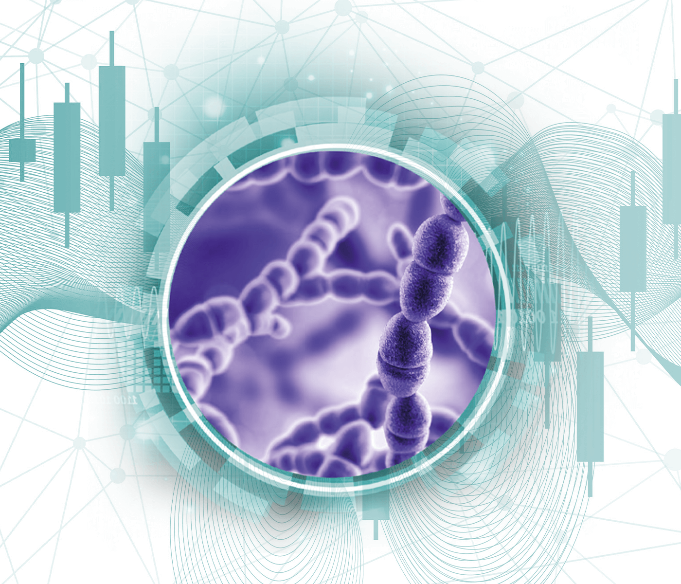 ¿Qué sabemos de nuevo sobre Streptococcus suis? – Una visión actualizada de su situación epidemiológica en España