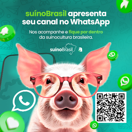 Canal WhatsApp robapagina