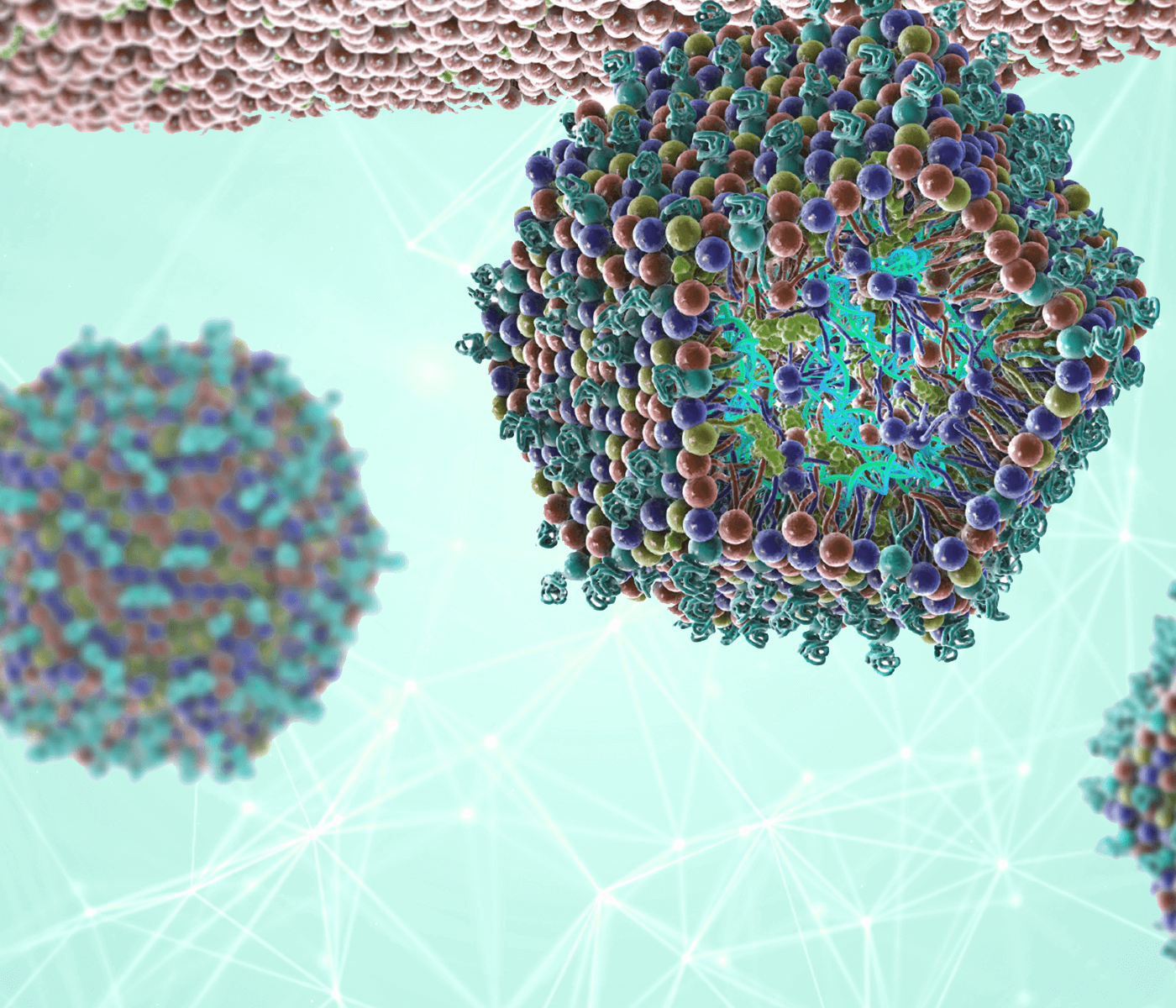 Vacunas de ADN con nanopartículas lipídicas: avances en el desarrollo de vacunas de uso veterinario