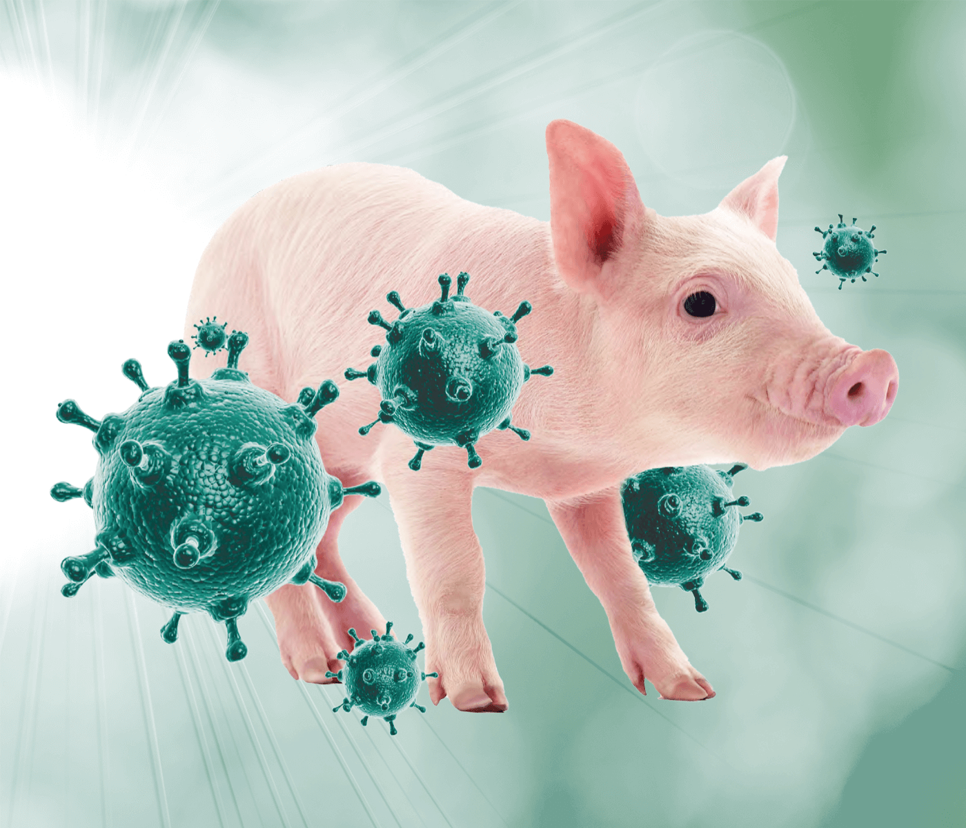 Desenmascarando al linaje pandémico del Virus de la Influenza Porcina en dos granjas con diferente manifestación clínica