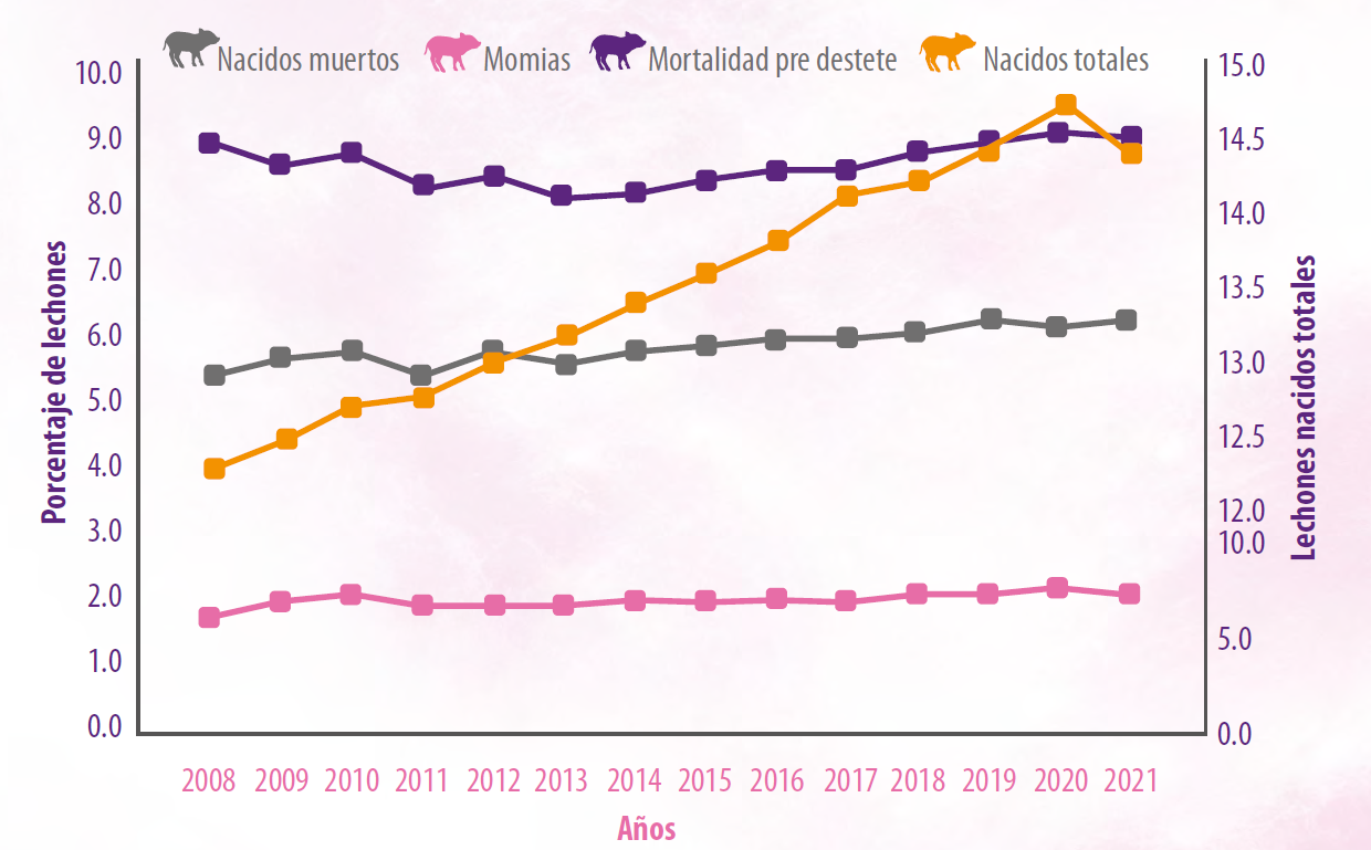 manejo durante la gestación