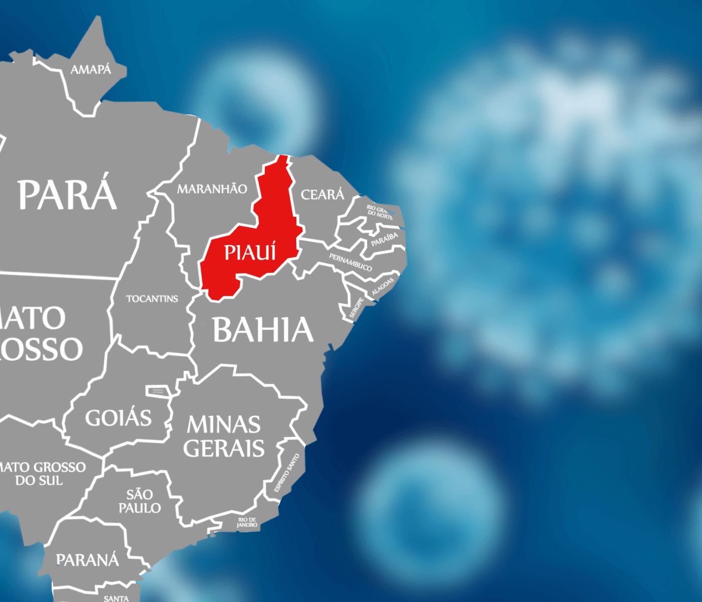Piauí registra casos de Peste Suína Clássica