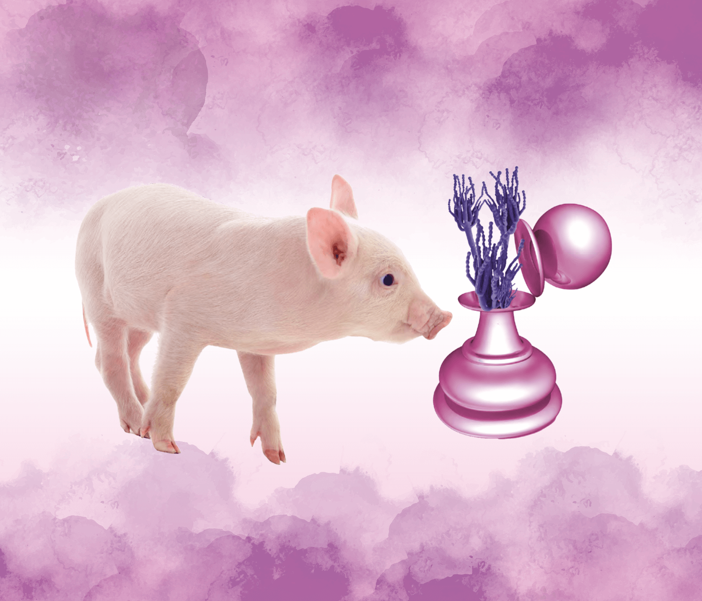 Micotoxinas – Una amenaza invisible para la salud y productividad porcina