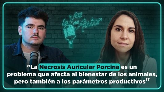 Charlamos con Henar González para indagar en un caso práctico sobre la necrosis auricular porcina y cómo afectan las condiciones ambientales.