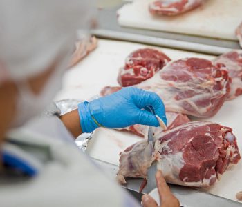 Paraguay está consolidando su posición en el comercio global de carne porcina con una inversión de US$ 40 millones en su planta de procesamiento en Katueté.