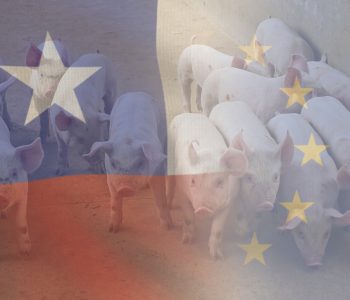 Chile avanza en su relación comercial con la Unión Europea gracias al Acuerdo Marco Avanzado (AMA) y al Acuerdo Comercial Interino (ACI), que amplían las cuotas de exportación y reducen aranceles para carne de cerdo y aves.