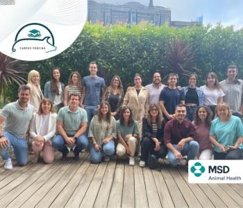 Finaliza con gran éxito la II edición del Campus Porcino 2023/2024, la formación para veterinarios jóvenes de MSD Animal Health.