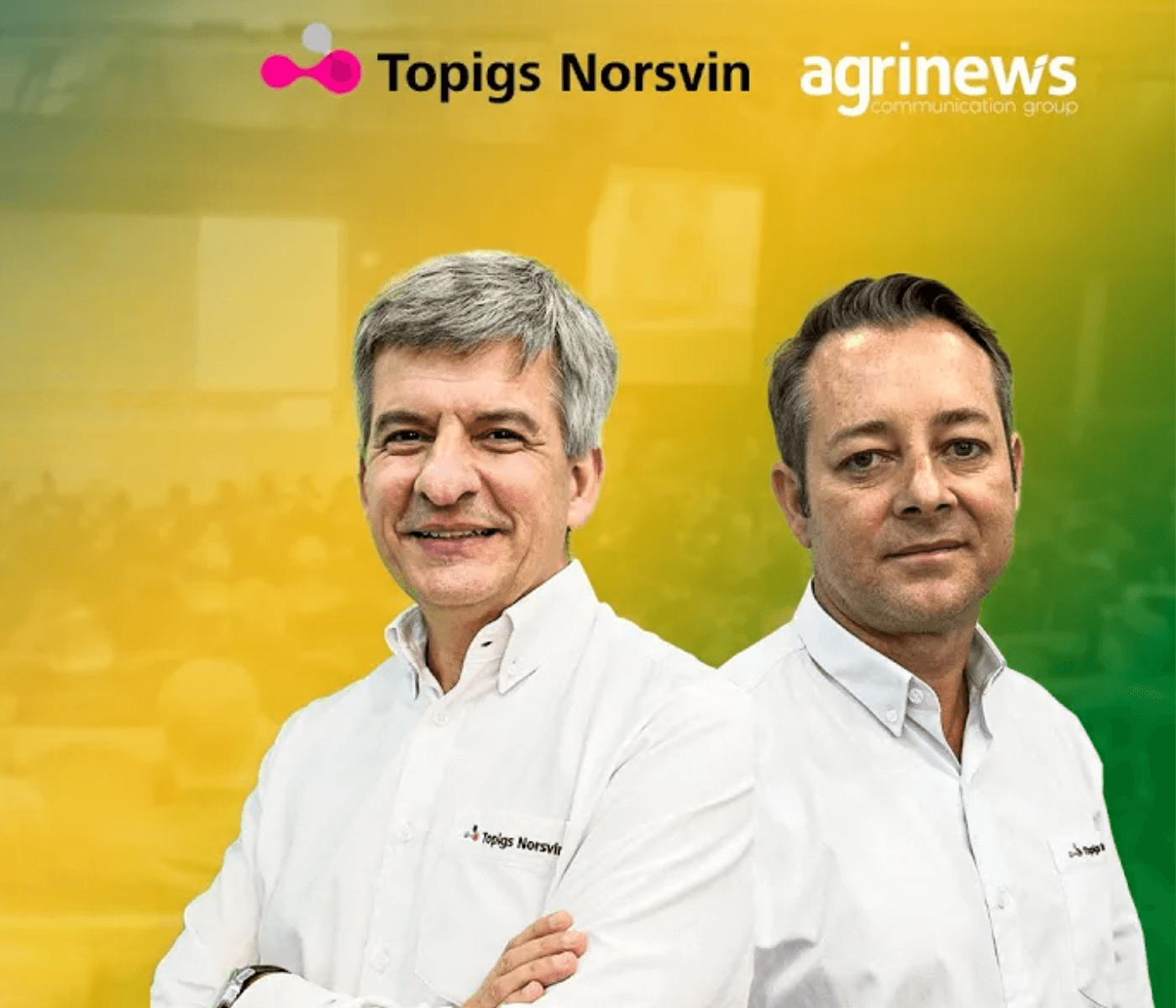 Topigs Norsvin: Genética inovadora e sustentabilidade são chaves para o futuro da suinocultura