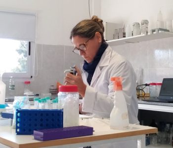 Investigadores del ICTAER (Arg.) estudian genes para optimizar la calidad de la carne porcina, colaborando con productores de Entre Ríos.