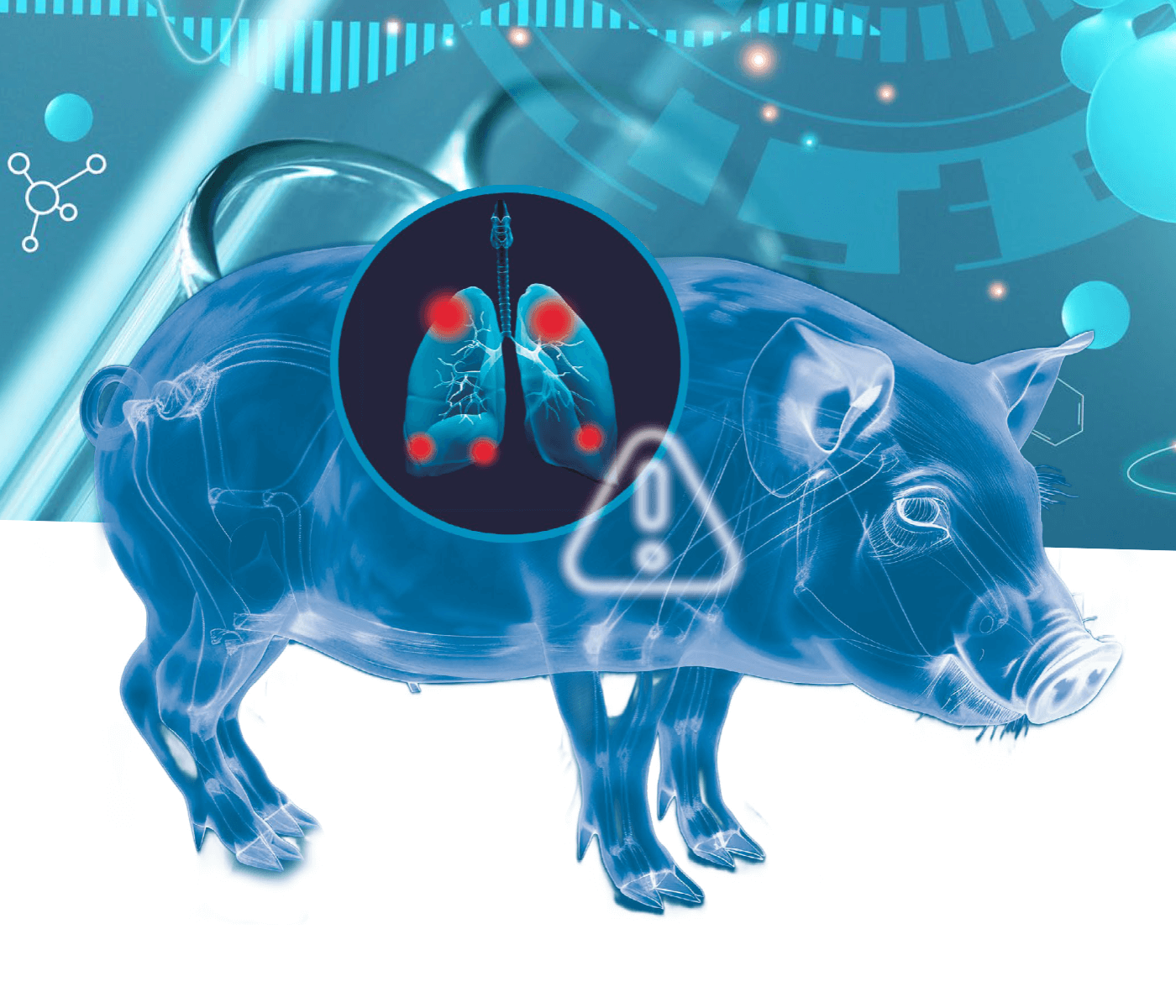 Evolución de la prevalencia y gravedad de las lesiones pulmonares evaluadas en mataderos españoles