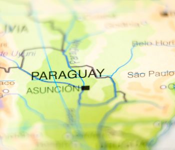 En 2024, las exportaciones de Paraguay sumaron 562 millones de kg, destacando 8.1 millones de kg de carne porcina.