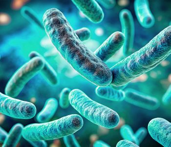 Porvaxin Rota+Coli+Clos contiene Escherichia coli, con todos los factores de adhesión más frecuentes en lechones lactantes.