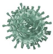 Peste Suína Africana: Blindagem Sanitária para Exportação