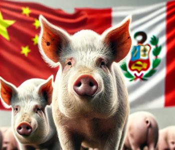 China declara a Perú libre de Fiebre Aftosa, permitiendo la exportación de carne bovina y porcina. Un hito para el sector agropecuario