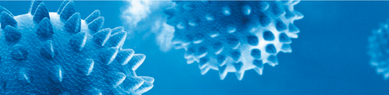 Peste Suína Africana: Blindagem Sanitária para Exportação