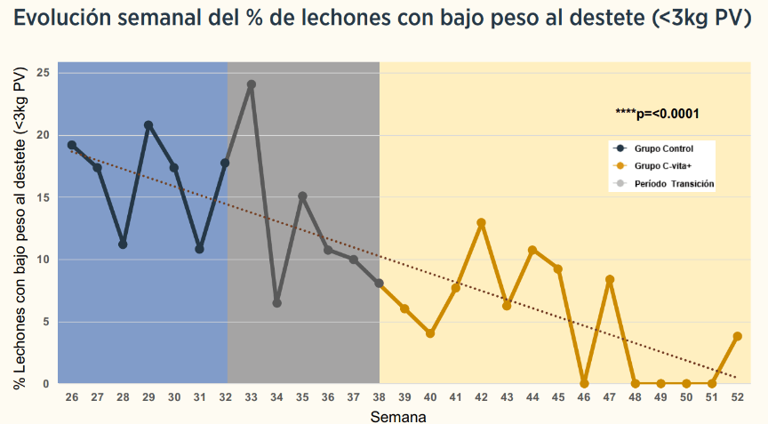 grafica 