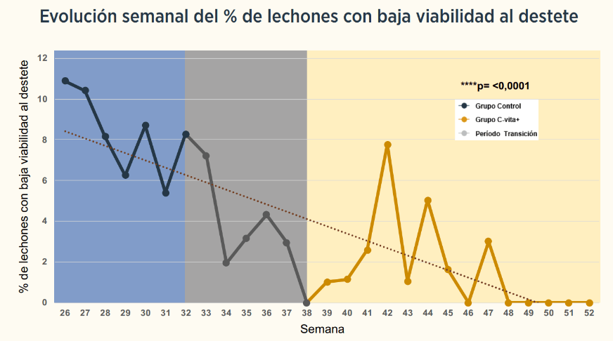 grafica 