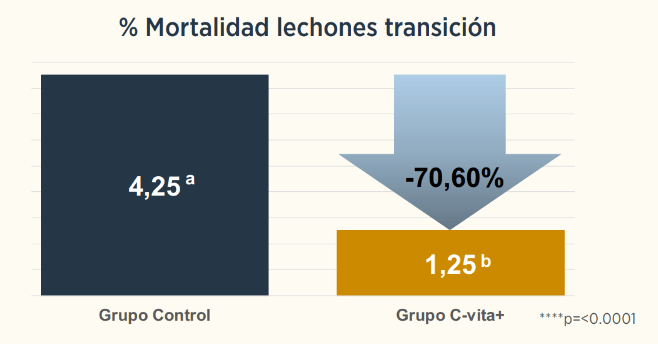 grafica
