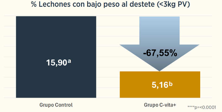 grafica