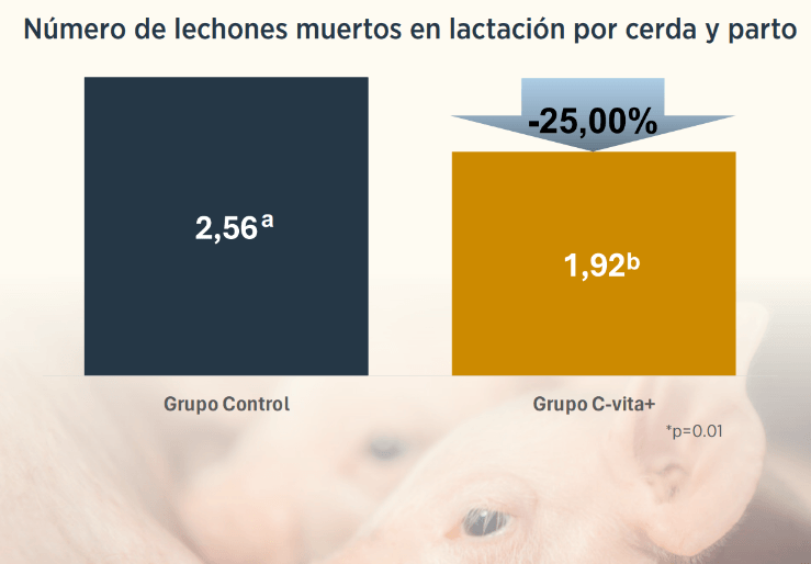 graficas 