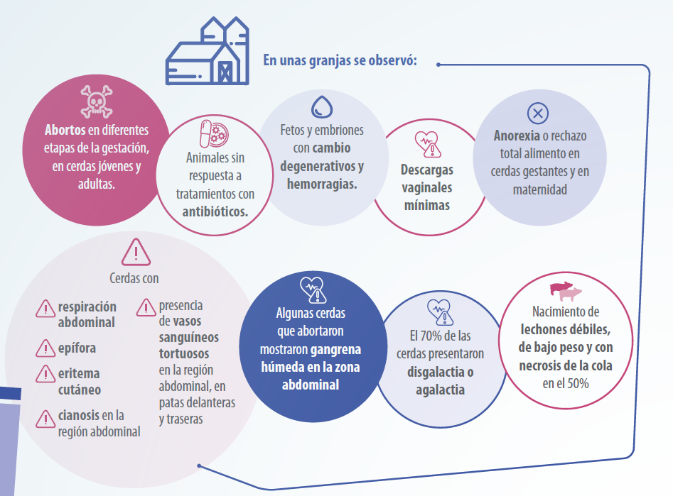 micotoxinas