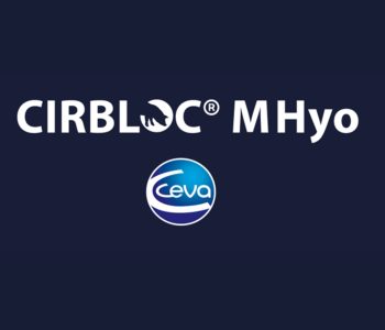 Ceva refuerza su posición como líder en salud respiratoria para el sector porcinogracias a Cirbloc® M Hyo y al servicio Ceva Lung Program.