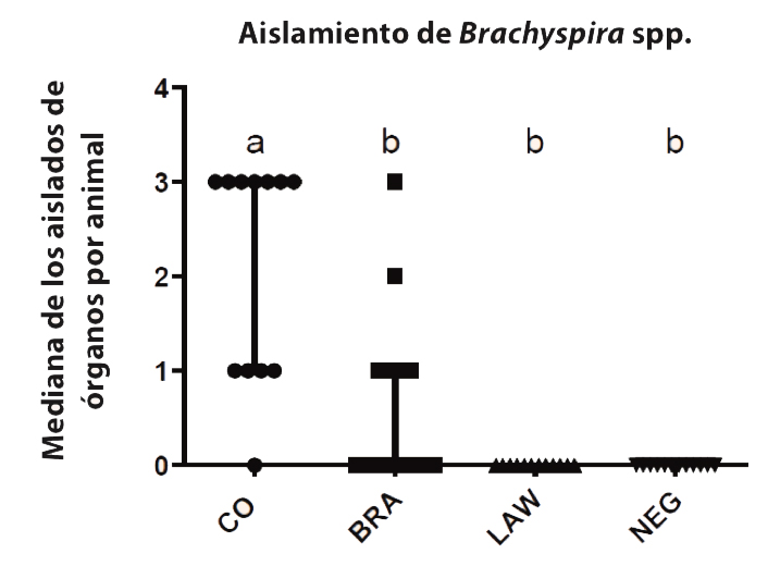 disentería