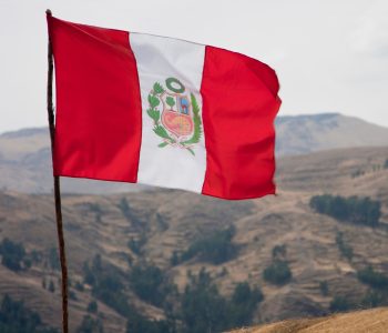 El sector porcino peruano creció un 4,0% en 2024, contribuyendo al alza del 4,9% del sector agropecuario, según datos oficiales del MIDAGRI.