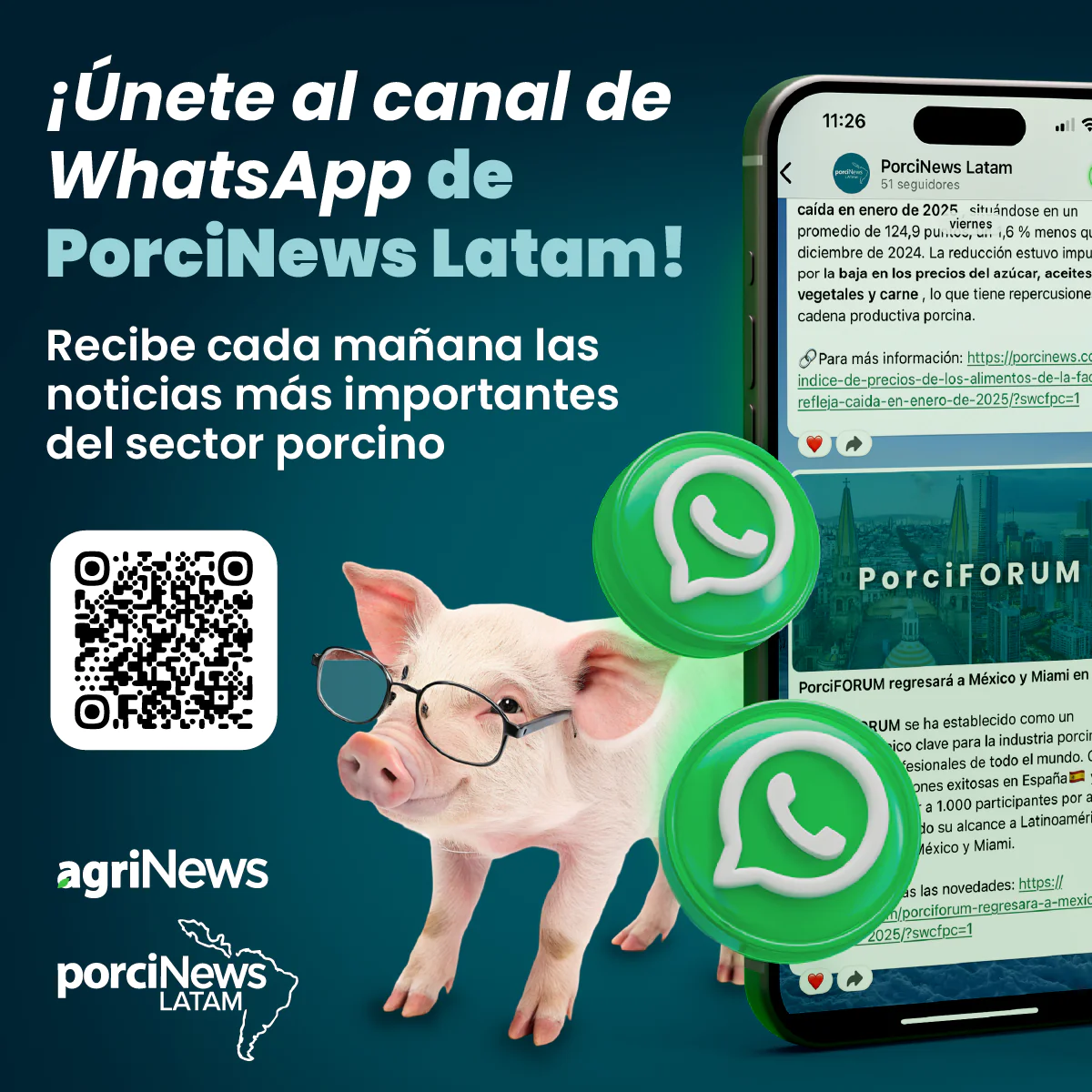 Canal whatsapp