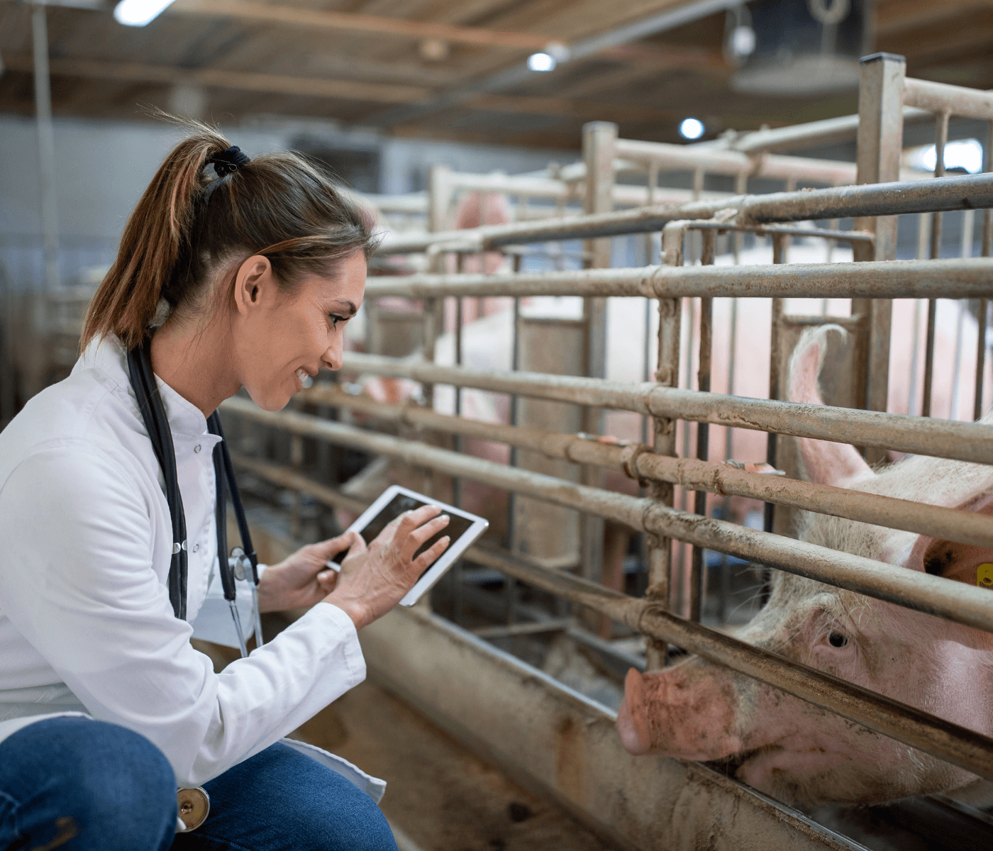 Embrapa Suínos e Aves abre comemorações de 50 anos com evento dedicado ao protagonismo feminino no agro