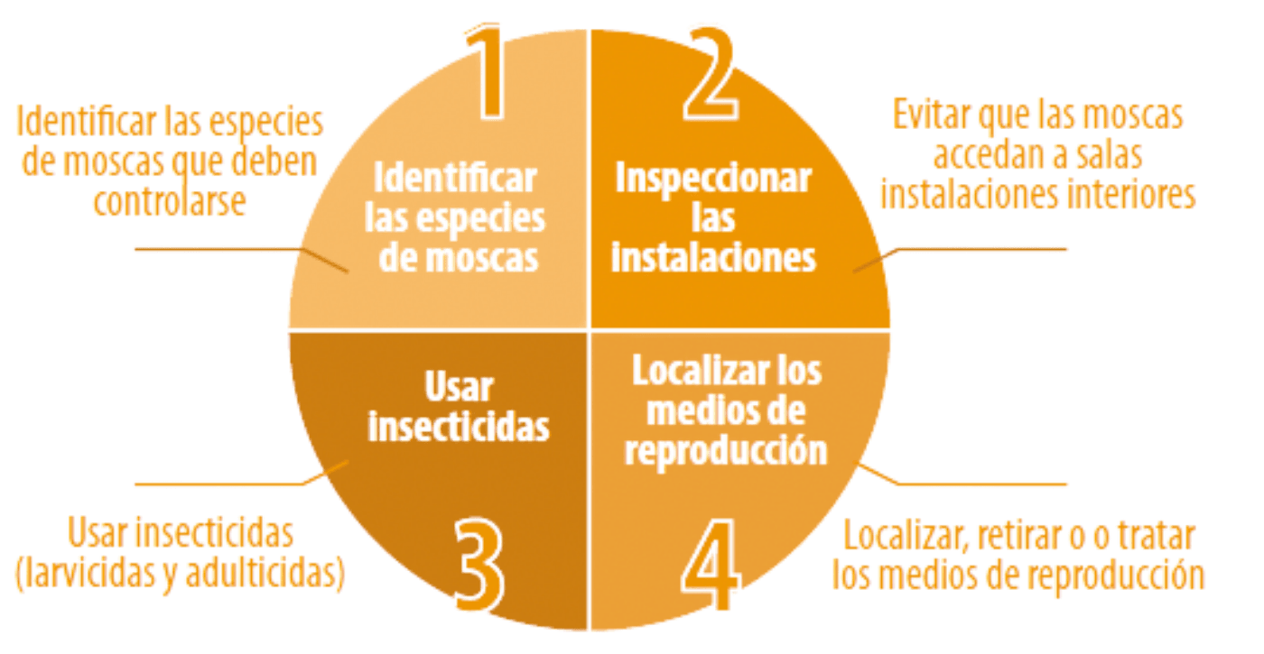 4 tareas