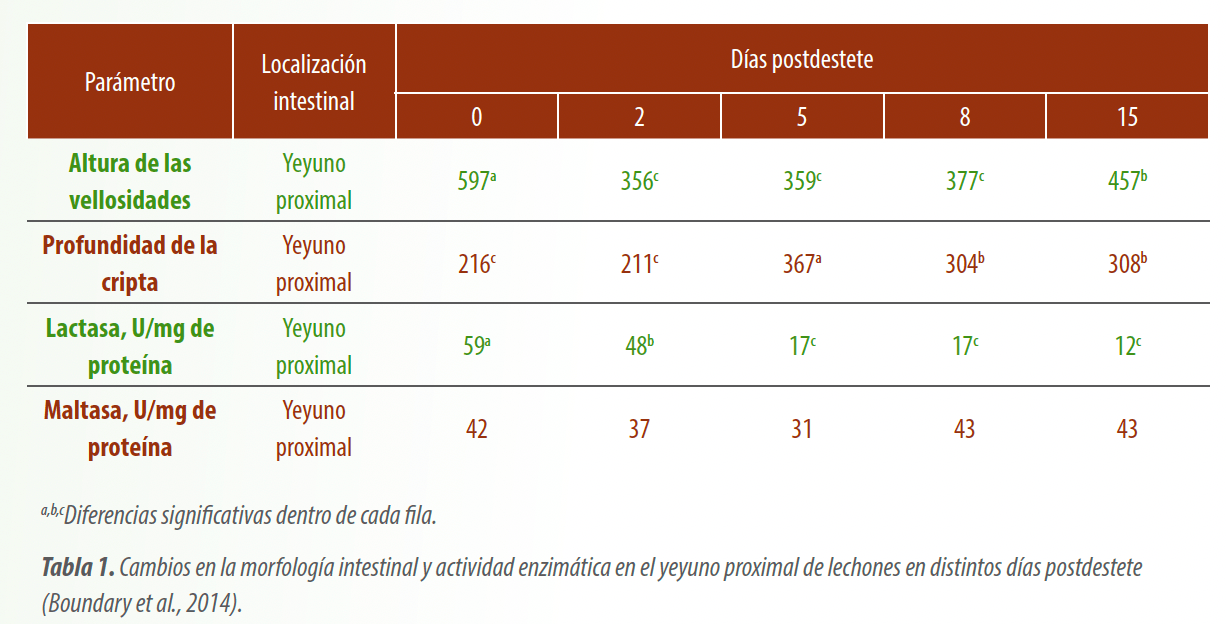 tabla1
