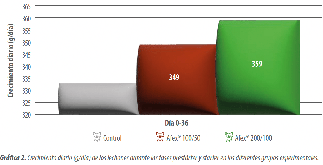 grafica2