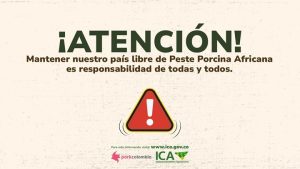 El ICA y Porkcolombia intensifican las campañas de prevención para evitar la entrada de la Peste Porcina Africana en Colombia.