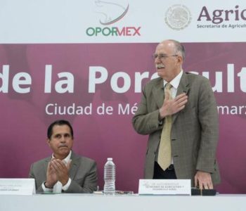 El Gobierno de México busca fortalecer la producción porcina para reducir importaciones y lograr mayor autosuficiencia.