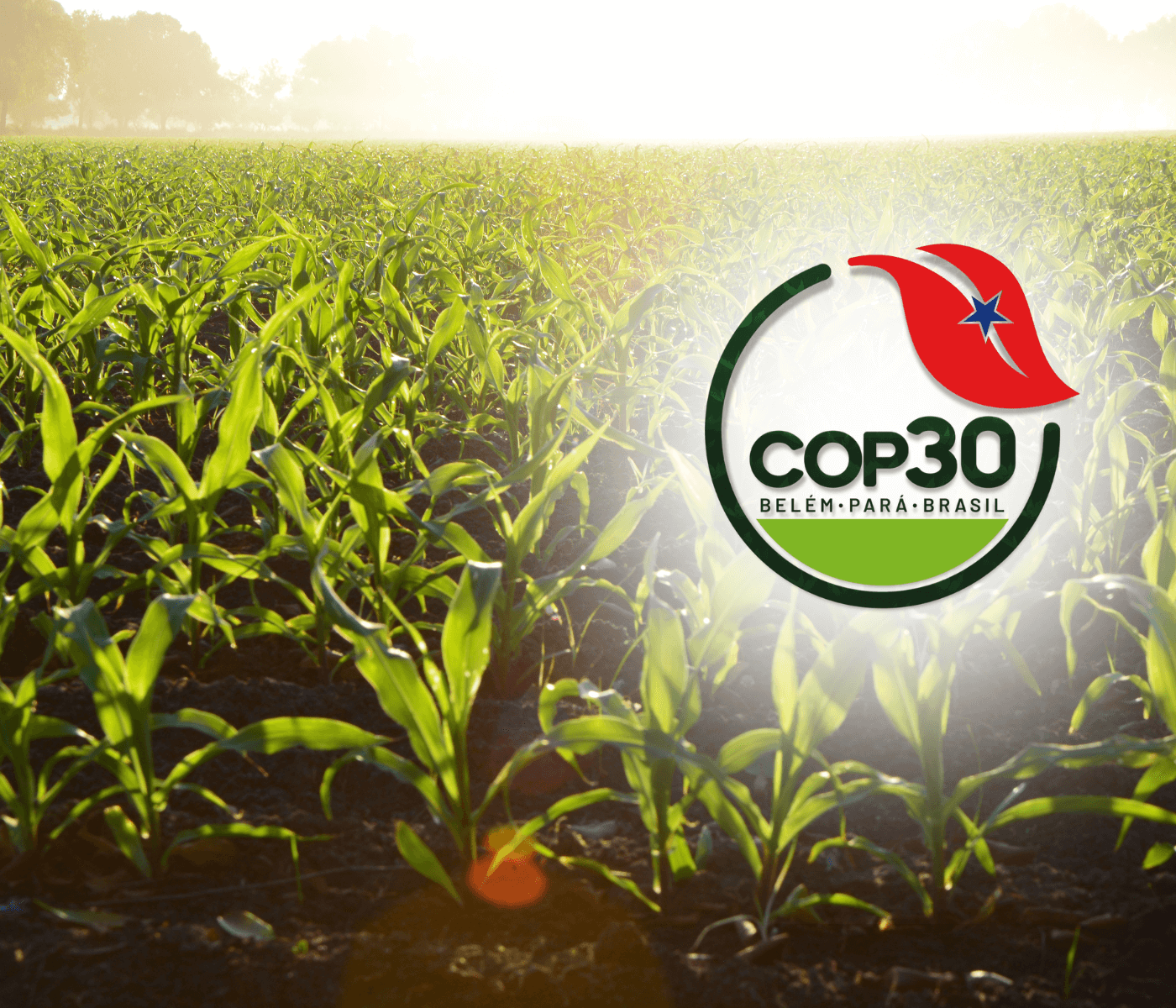 O agro na COP30 