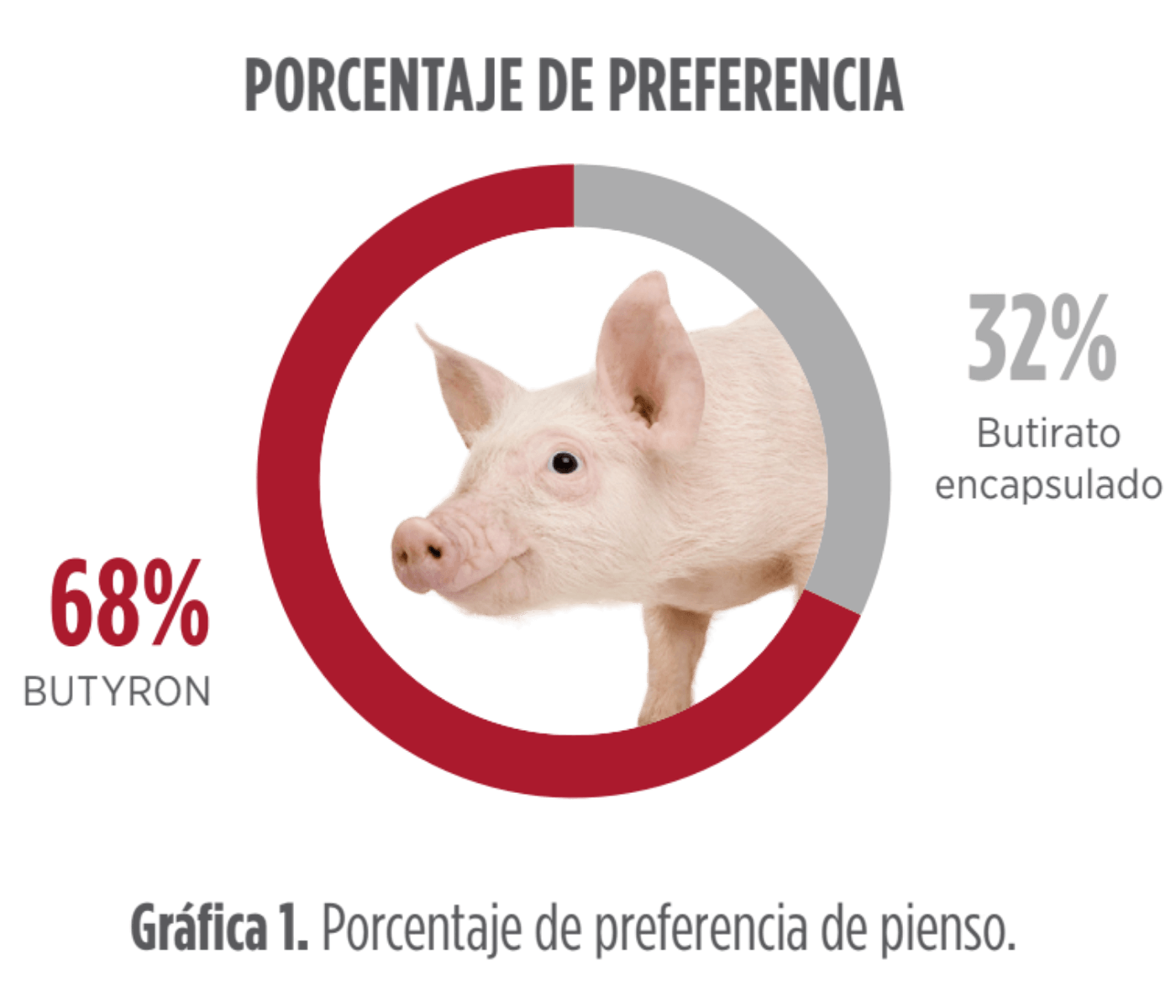 grafica1