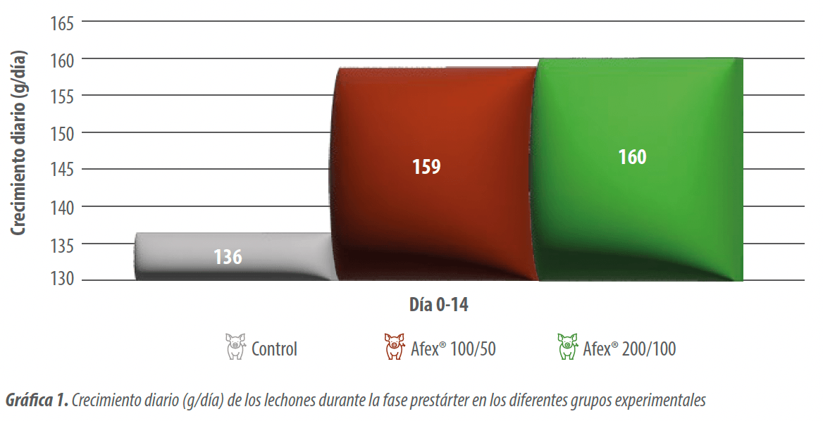grafica1