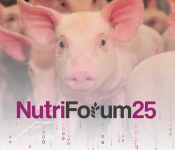 nutriForum 2025 reunirá los próximos 9 y 10 de abril a expertos del sector para analizar las últimas innovaciones en nutrición porcina.