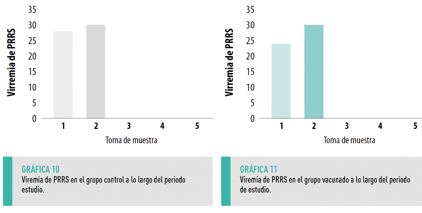 Grafica 10 y 11