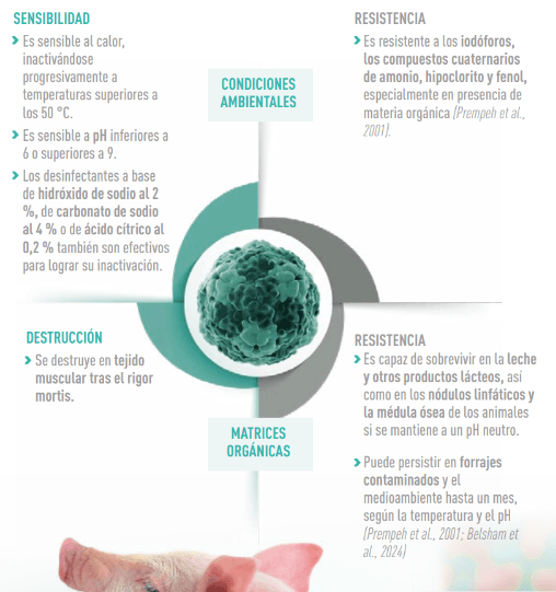 esquema