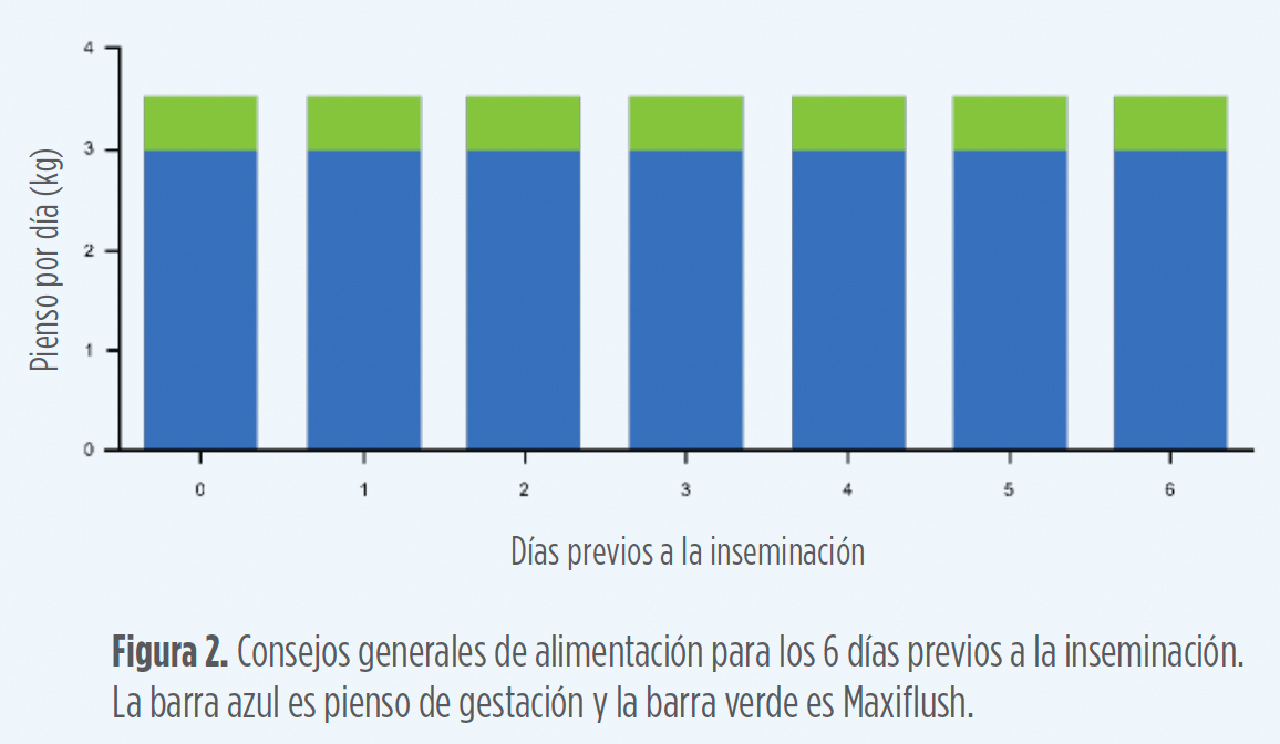 primerizas